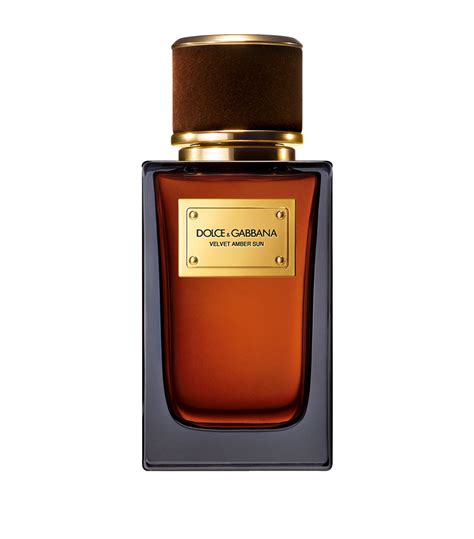 dolce & gabbana velvet amber sun|d&g online shopping.